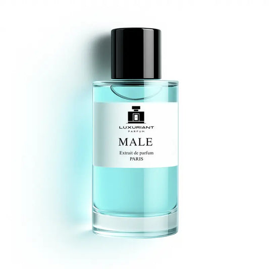 Dupe parfum inspiré Le Male